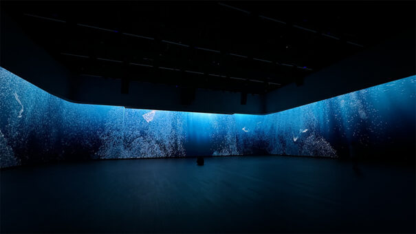 Disguise MGM Macau Fantasy Box