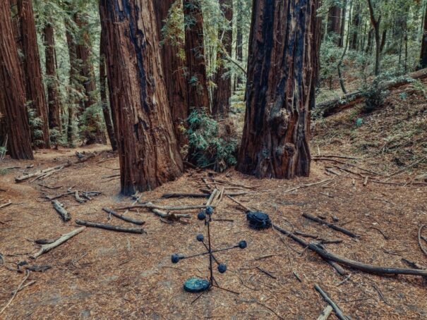 Sennheiser Thomax Rex Beverly