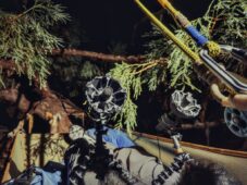 Sennheiser Thomax Rex Beverly