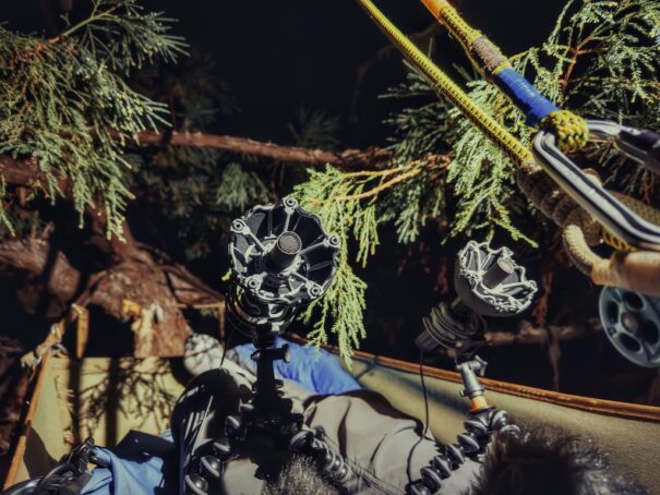 Sennheiser Thomax Rex Beverly