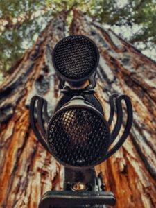 Sennheiser Thomax Rex Beverly