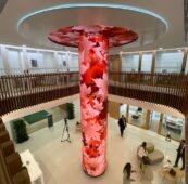 Cajasiete Traulux Charmex Avisuales