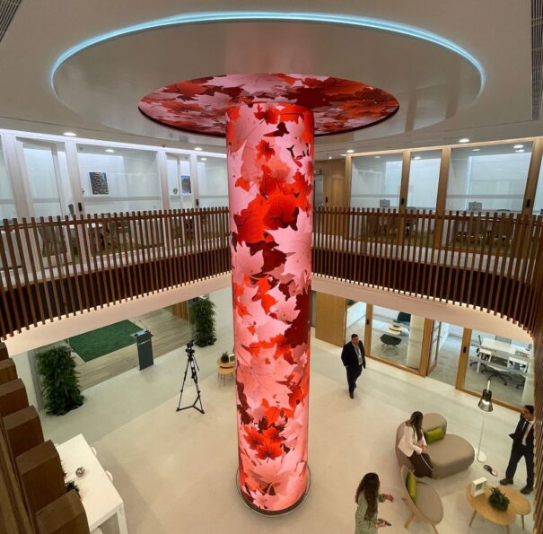 Cajasiete Traulux Charmex Avisuales