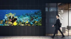 Panasonic Tl 55lv12a