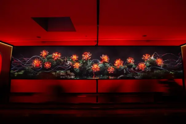 息をする, 一方 2026