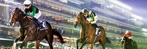 Vitec despliega una red IPTV y 600 equipos de señalización digital a 4K en el hipódromo de Meydan
