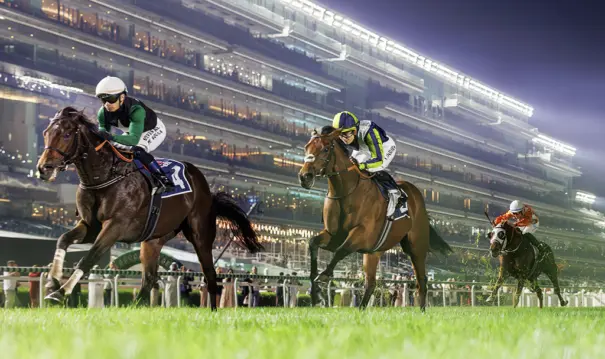 Vitec Meydan Hipodromo