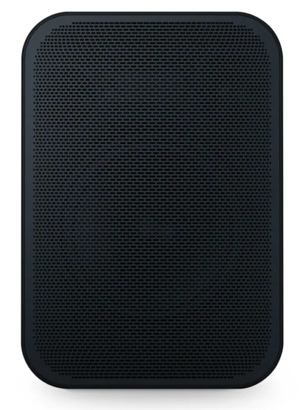 Bluesound Professional BSP125 