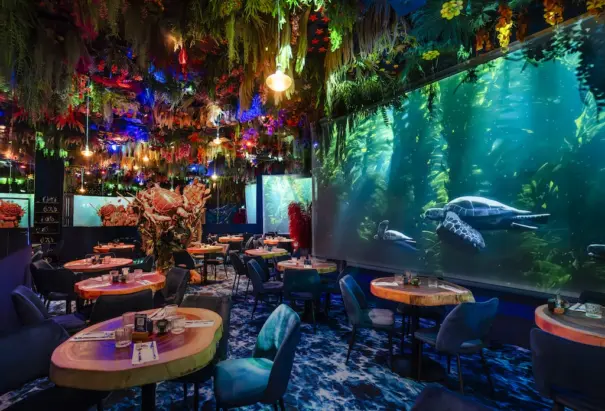 Ephemera (Foto: Ephemera Group / Fosphor)