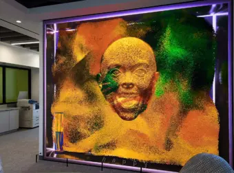 Sna Displays Reflection Emotion 2