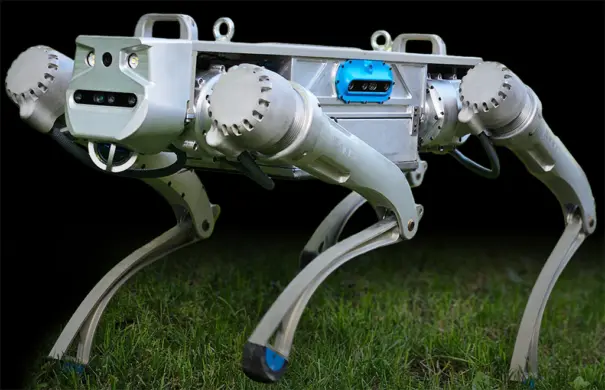 Vitec Proteo Hyperever Robot Canino